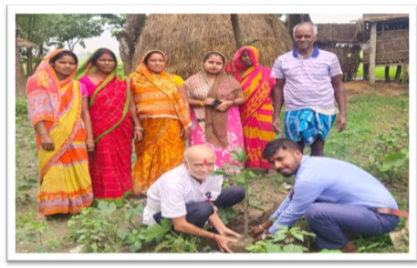 Community Sanitation